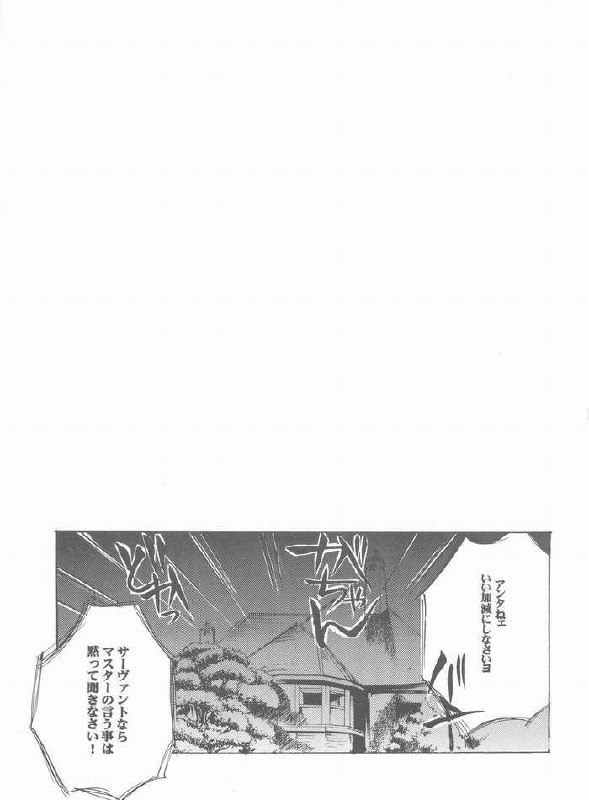 (Mimiket 10) [RED DATA BOOK (Amano Ryuki)] Albireo (Fate/stay night) page 2 preview