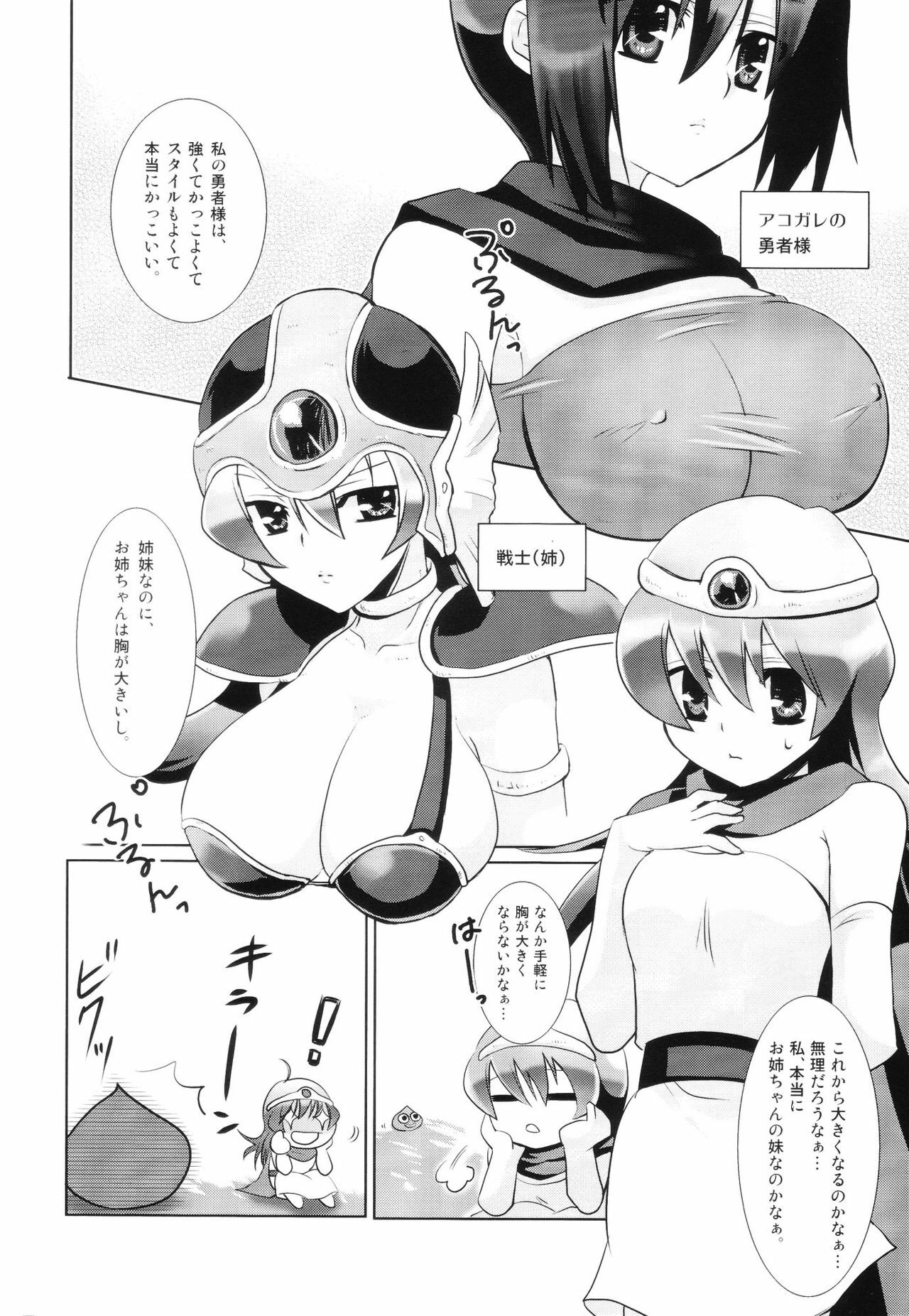 (C75) [[EOF], Nameko-Ike (Celi)] Riso to Genjitsu (Dragon Quest III) page 3 preview