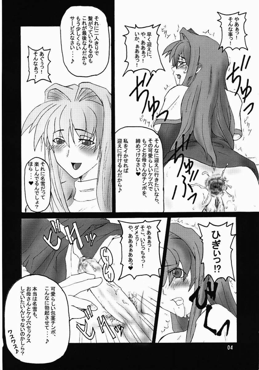 (SC23) [Hanjuku Yude Tamago (Canadazin)] SOUND BARRICADE 6 (Kanon) page 3 preview