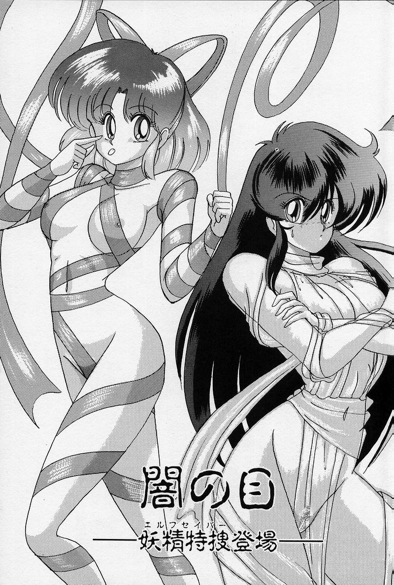 [Kamitou Masaki] Fairy Saber [Kesshuu Saber Team Hen] page 8 preview