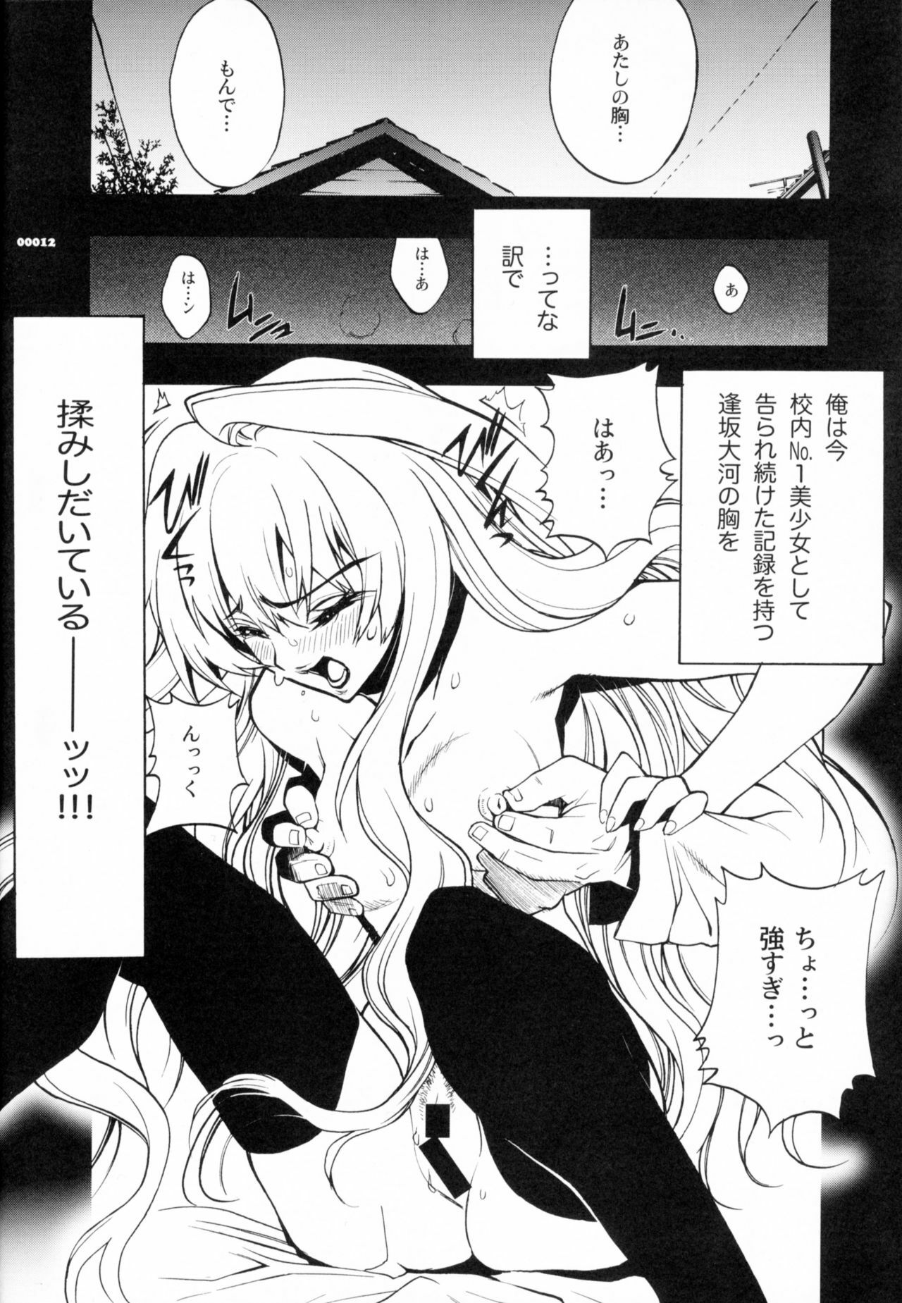 (C75) [PIGGSTAR (Nagoya Shachihachi)] Dora mon! (Toradora!) page 9 preview
