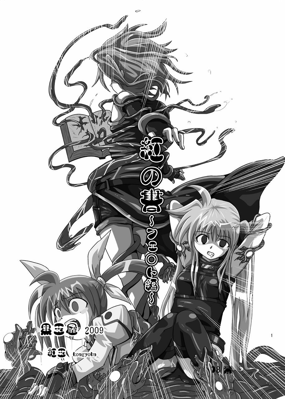 [Kurodamaya (Akadama)] Kurenai no Sho ~Fate Hen~ (Mahou Shoujo Lyrical Nanoha) page 2 preview