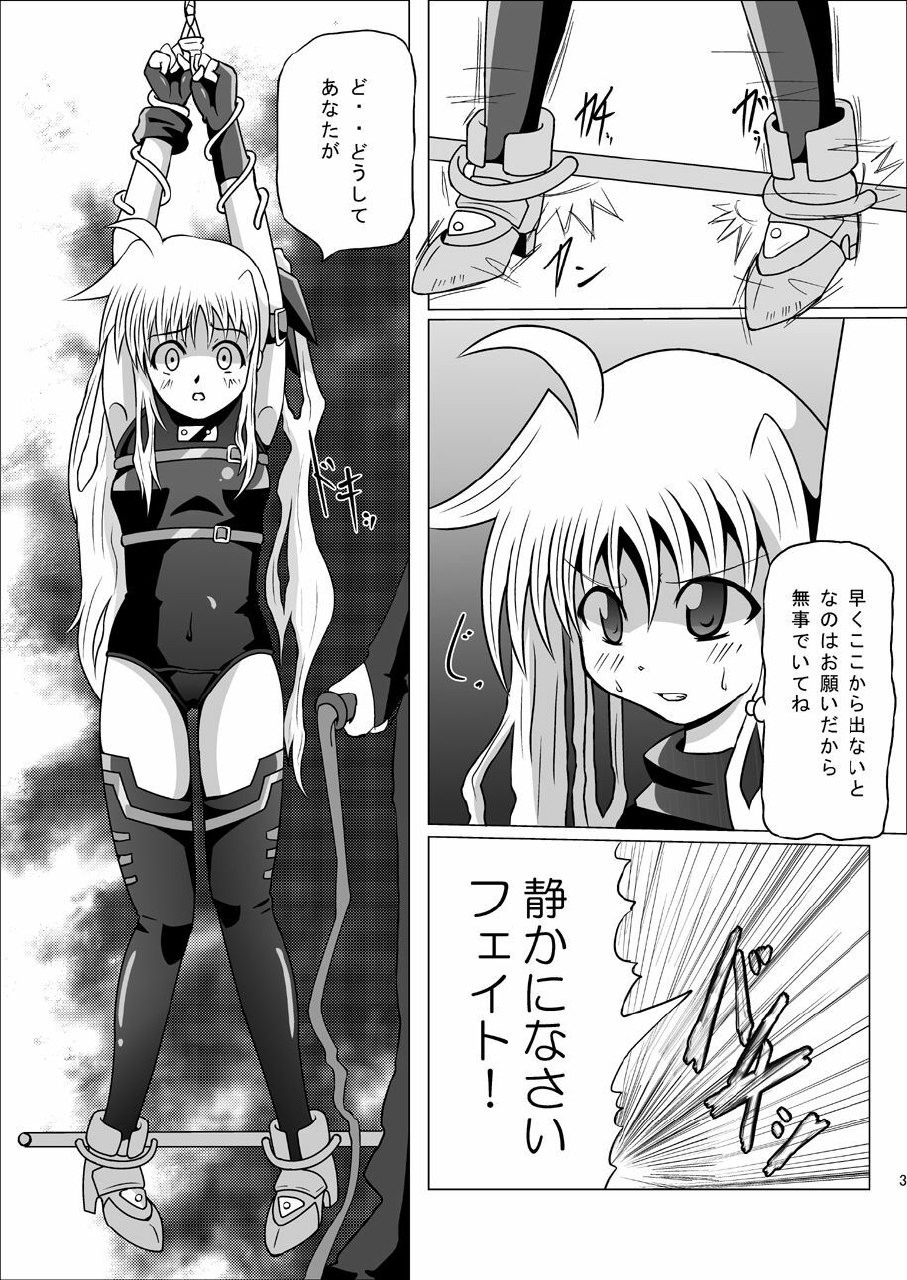 [Kurodamaya (Akadama)] Kurenai no Sho ~Fate Hen~ (Mahou Shoujo Lyrical Nanoha) page 4 preview
