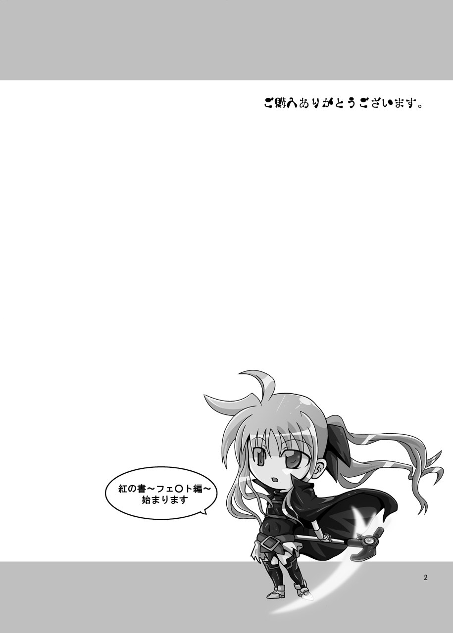 [Kurodamaya (Akadama)] Kurenai no Sho ~Fate Hen~ (Mahou Shoujo Lyrical Nanoha) page 3 preview