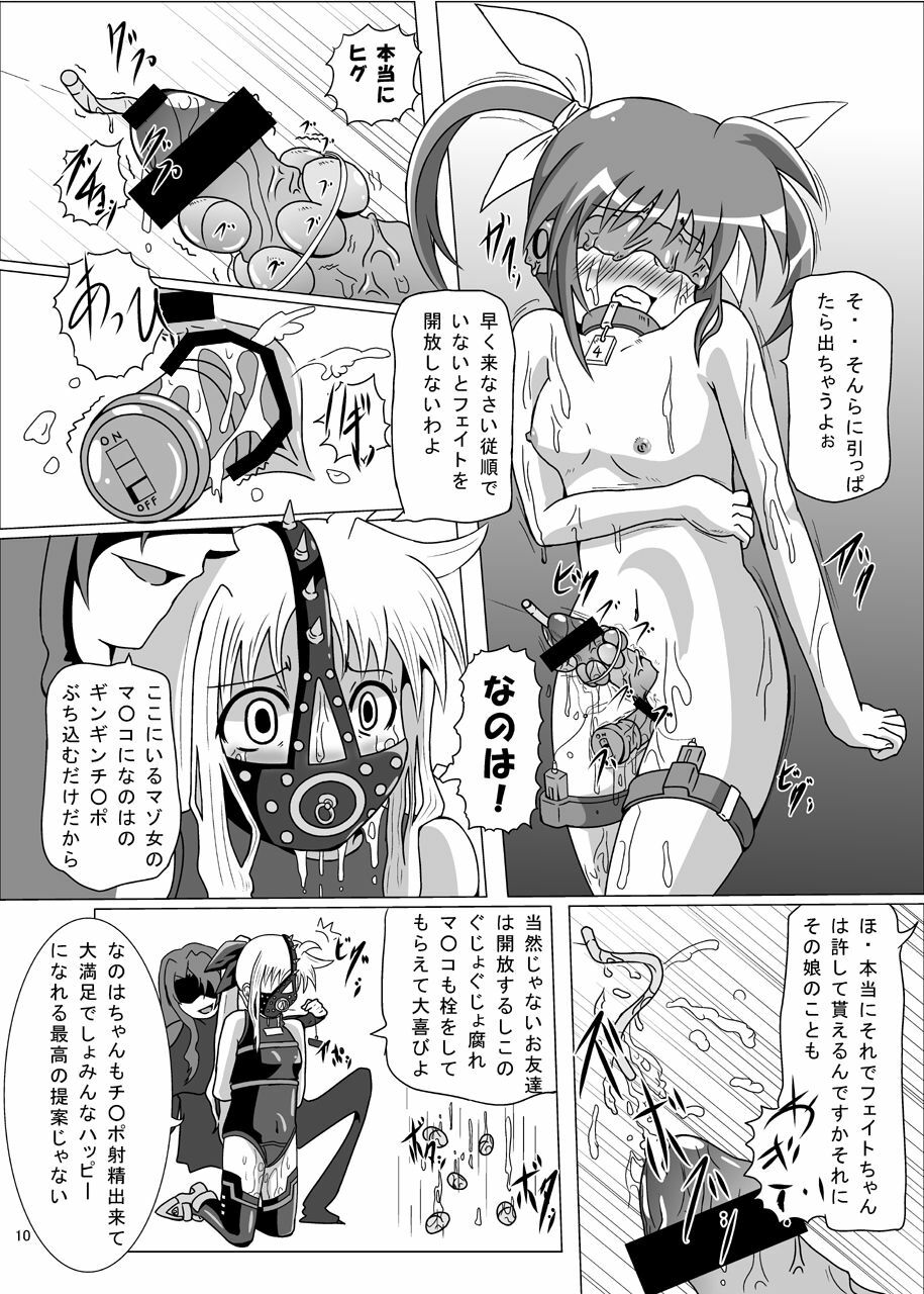 [Kurodamaya (Akadama)] Kurenai no Sho ~Fate Hen~ (Mahou Shoujo Lyrical Nanoha) page 11 preview
