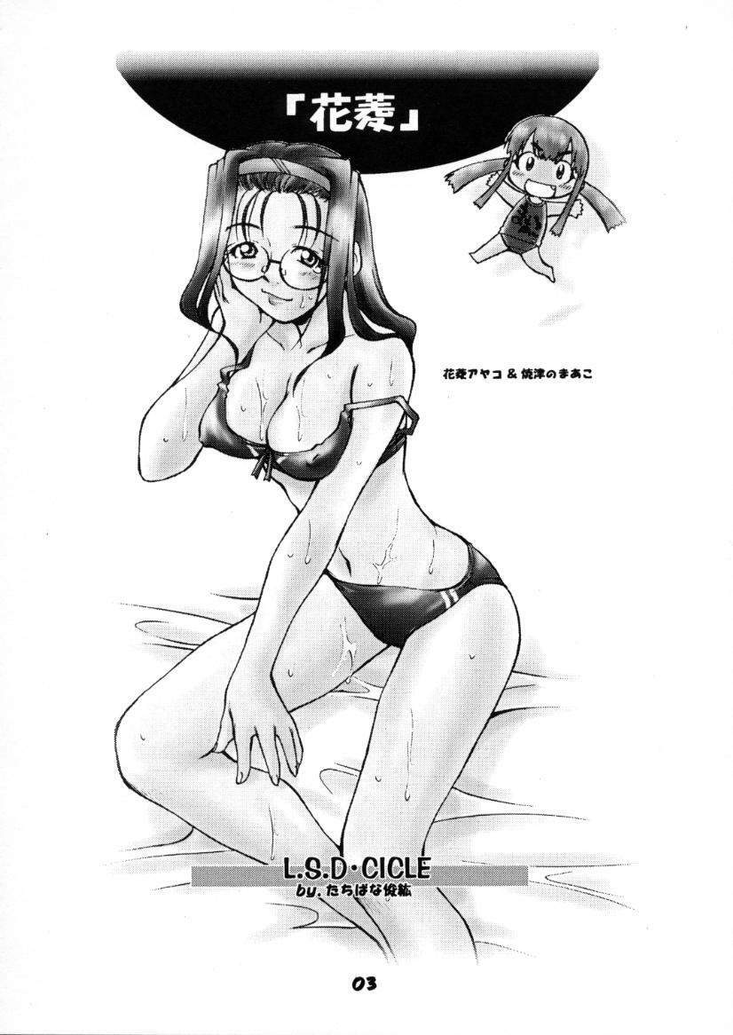 (C58) [L.S.D Cicle (Tachibana Toshihiro)] "Hanabishi" (Tenamonya Voyagers) page 2 preview