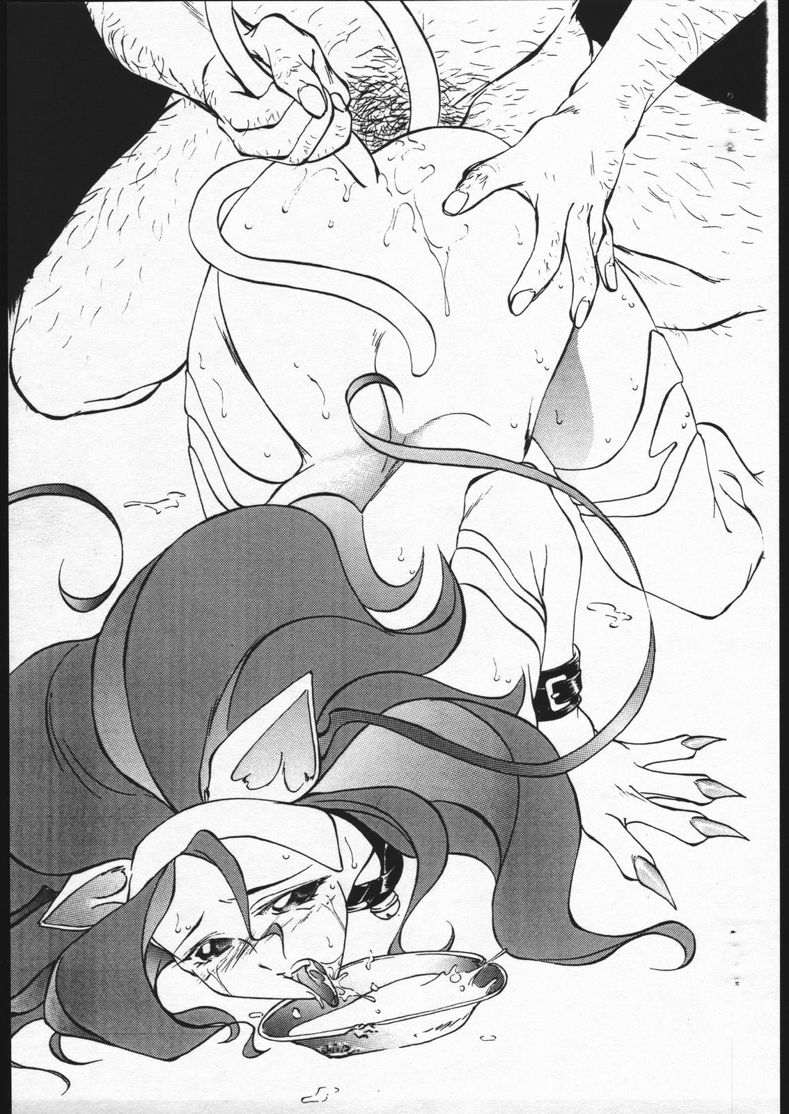 (C49) [Karajishi (Yajishi Kou)] H Vamp (Darkstalkers) page 9 preview