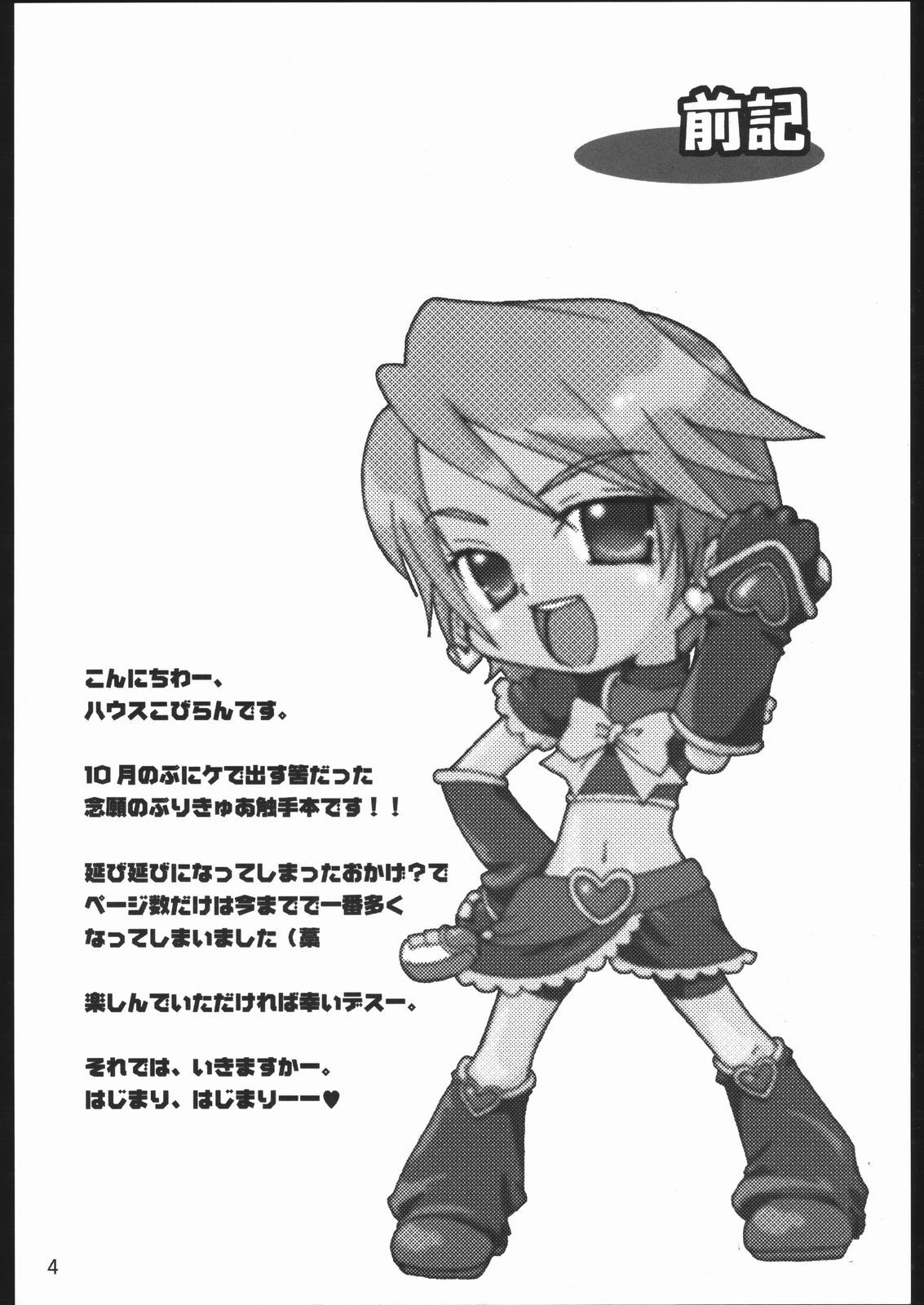 (C67) [Kobiran House (House Kobiran)] Nantai Kansoku (Futari wa PreCure) page 3 preview