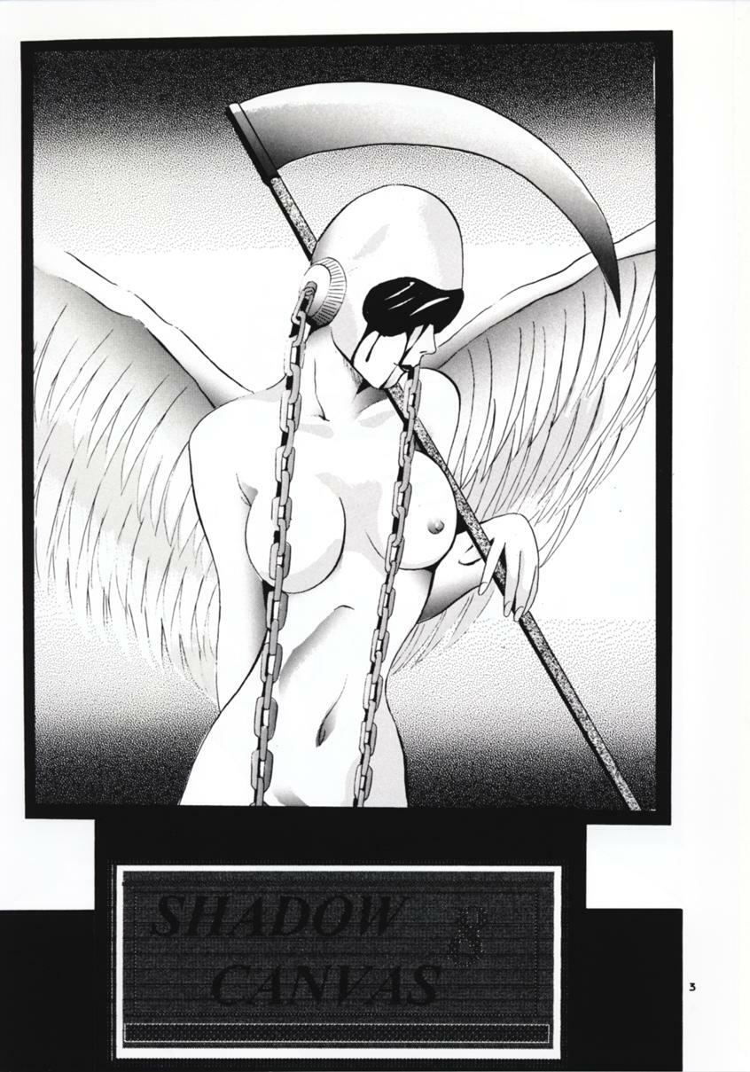 (C54) [Studio BIG-X (Arino Hiroshi)] SHADOW CANVAS 8 (Fancy Lala, Outlaw Star) page 2 preview