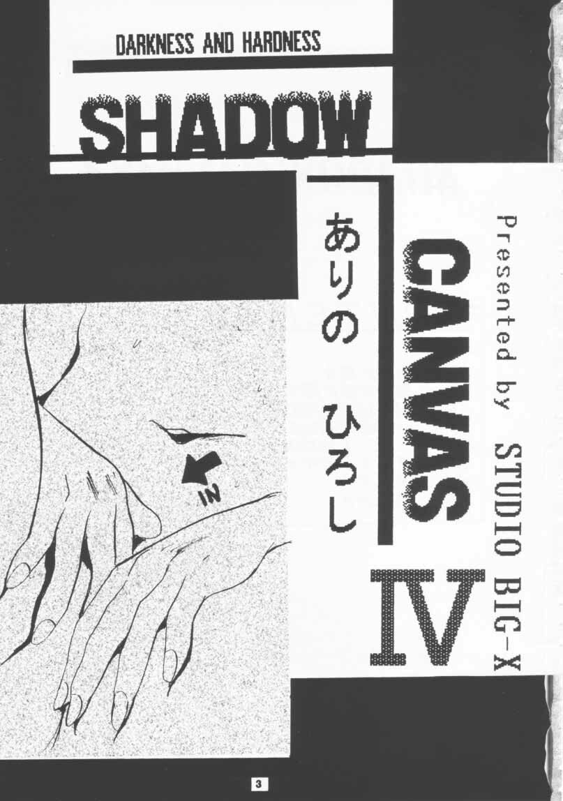 (CR19) [Studio BIG-X (Arino Hiroshi)] SHADOW CANVAS 4 (Various) page 2 preview