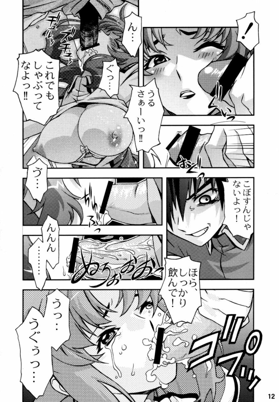 (CR35) [Sanryuu Club (Suzuki Ganma, Suzuki Kimchi)] Okadu Hatake (Gundam SEED) page 11 preview