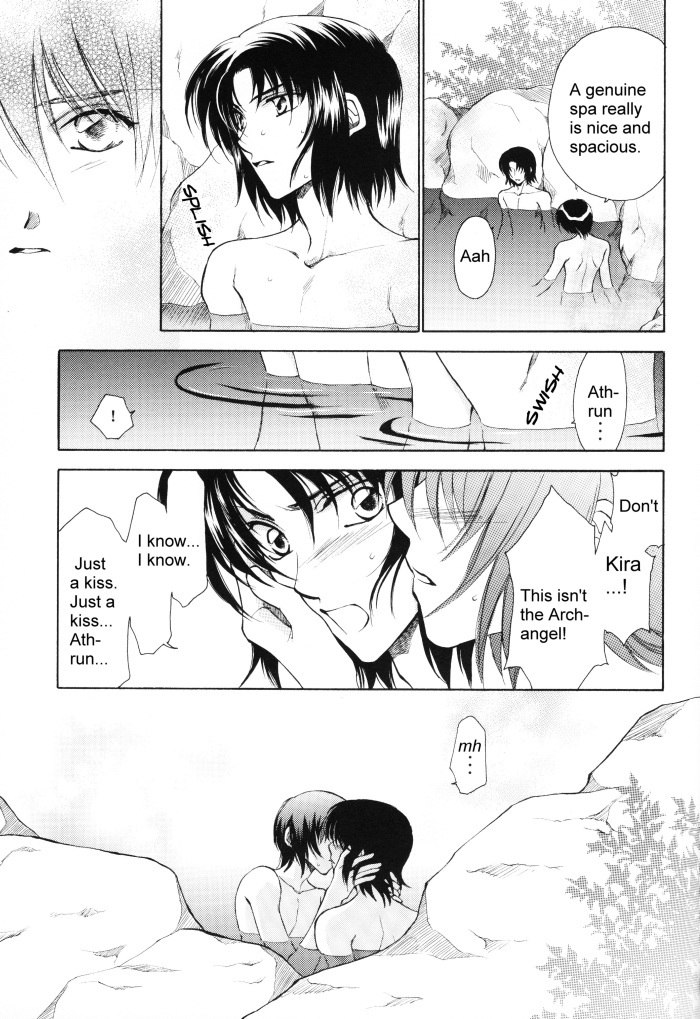 [Yougekishu (Arina Toshimi)] sweet honey moon (Gundam SEED DESTINY) [English] [Arigatomina] page 8 preview