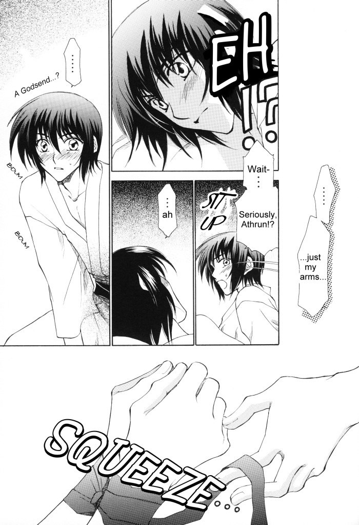 [Yougekishu (Arina Toshimi)] sweet honey moon (Gundam SEED DESTINY) [English] [Arigatomina] page 12 preview
