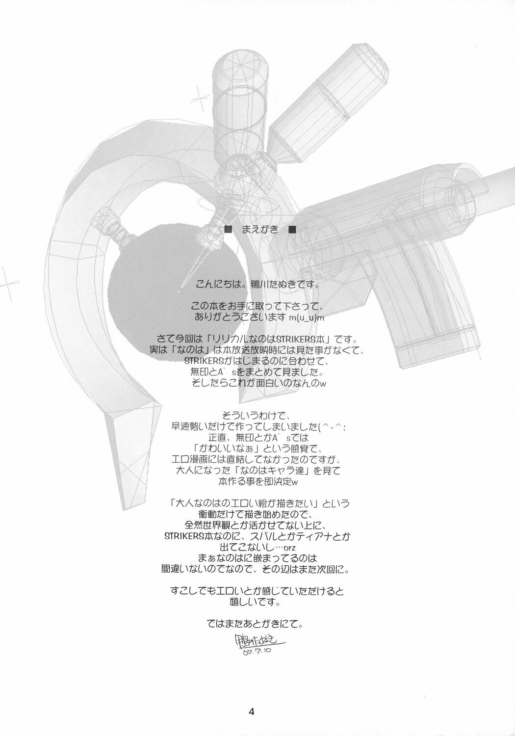 [Kamogawaya (Kamogawa Tanuki)] NineteenS (Mahou Shoujo Lyrical Nanoha StrikerS) [English] page 3 preview