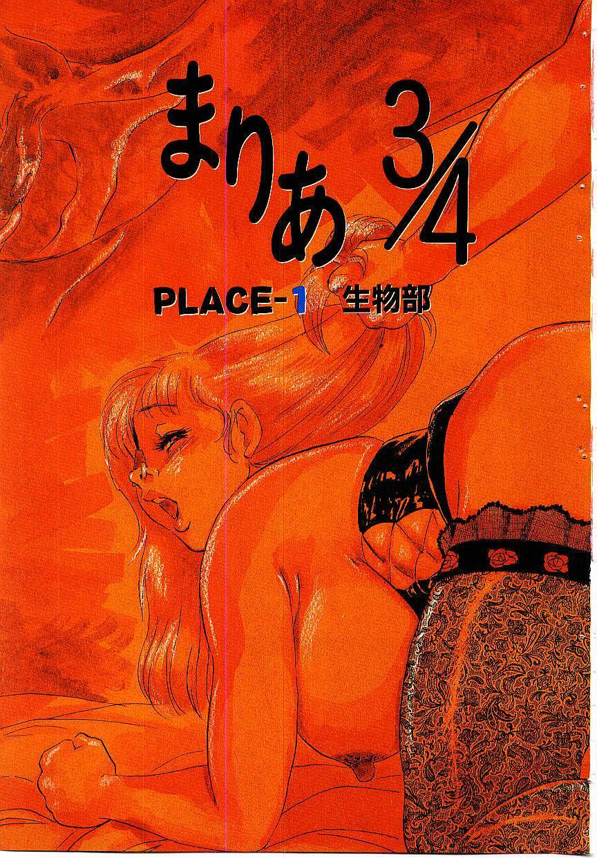 [Shiroi Gunpan] maria3/4 page 5 preview