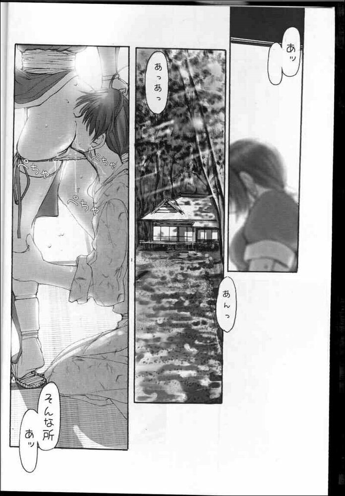 [RST Slave (Ebina Souichi)] Kasumi Love (Dead or Alive) page 5 preview