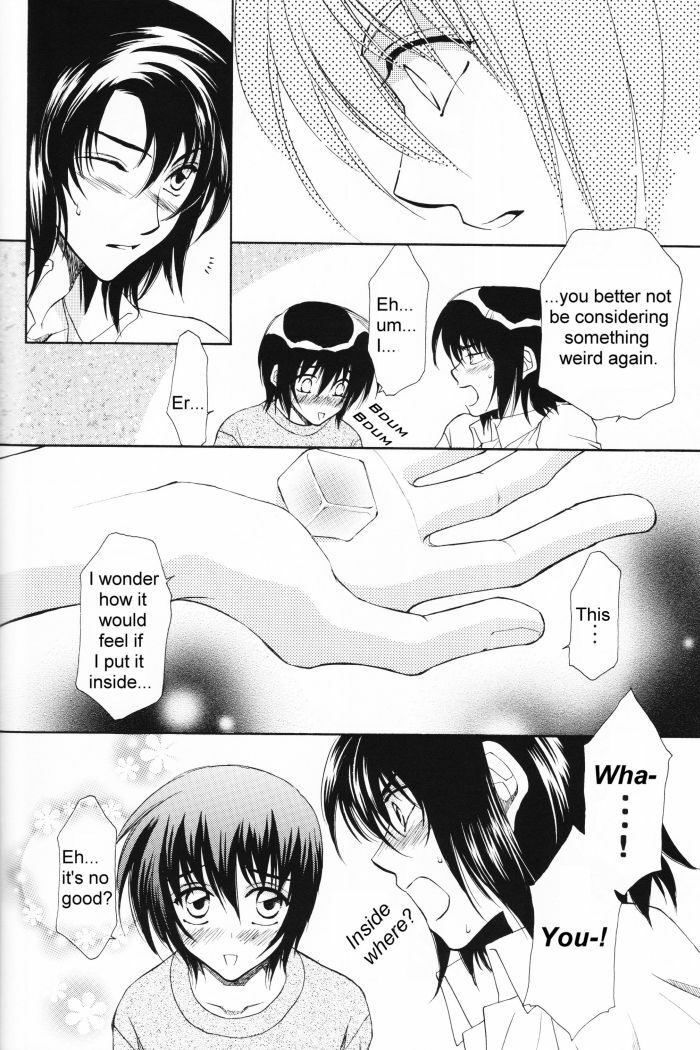 [Yougekishu (Arina Toshimi)] Charm (Kidou Senshi Gundam SEED) [English] [Arigatomina] page 9 preview