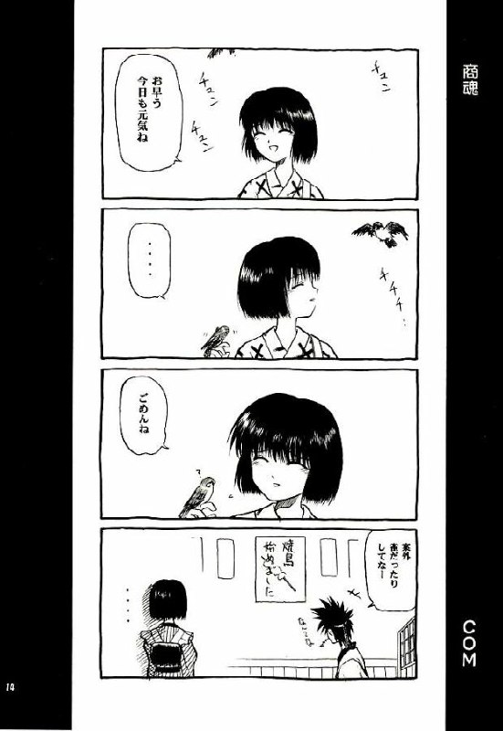 (C52) [Yamaguchirou (Yamaguchi Shinji)] Meiji Chanbara Roman Porno (Rurouni Kenshin) page 12 preview