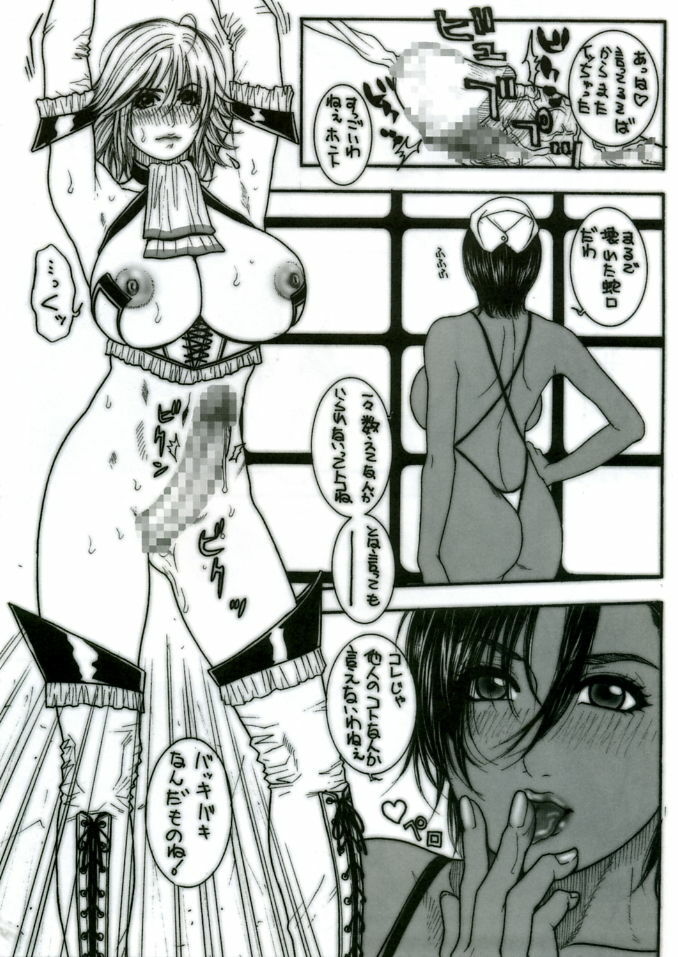 (C68) [H&amp;K (Kotobuki Kazuki)] Kakutou Ane Ane (Rumble Roses) page 11 preview