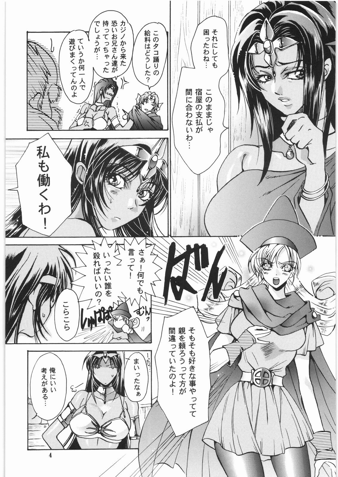 [SFT (Kawakami Takashi, Itou Nozomi)] Kuro to Shiro (Dragon Quest IV, Samurai Warriors 2) page 3 preview