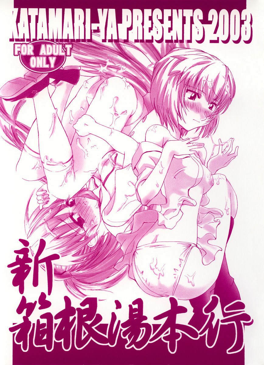 (CR33) [Katamari-ya (Shinama)] Shin Hakone Yumotoiki (Neon Genesis Evangelion)