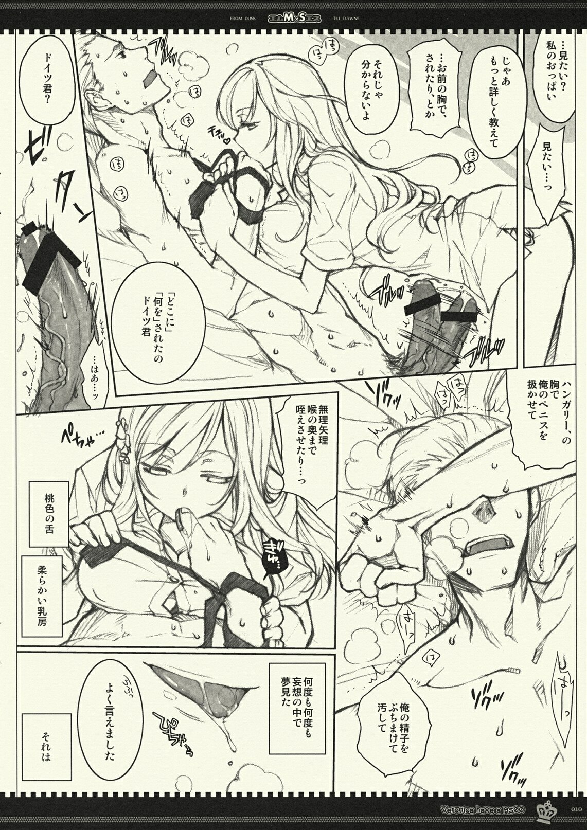 (C77) [VM500 (Kome)] MS (Axis Powers Hetalia) page 9 preview