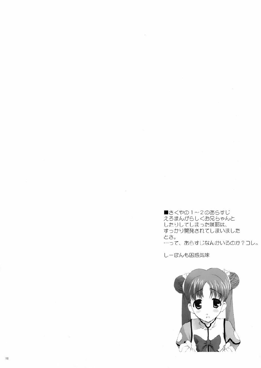 (CR33) [Kasakigumi (Kasaki'03)] Sakuya no 3 (Sister Princess) page 2 preview