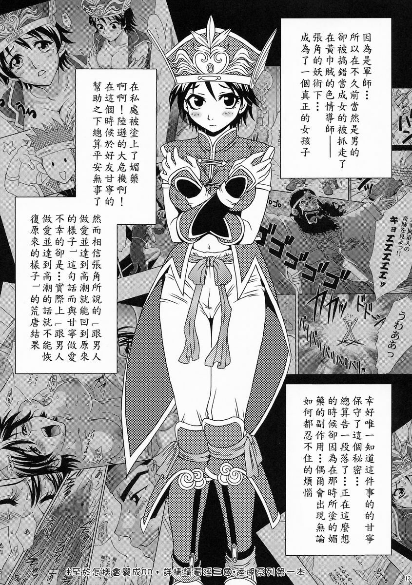(C66) [U.R.C (MOMOYA SHOW-NEKO)] Rikuson-chan ~Lovely Gunshi no Himitsu~ (Dynasty Warriors) [Chinese] page 12 preview