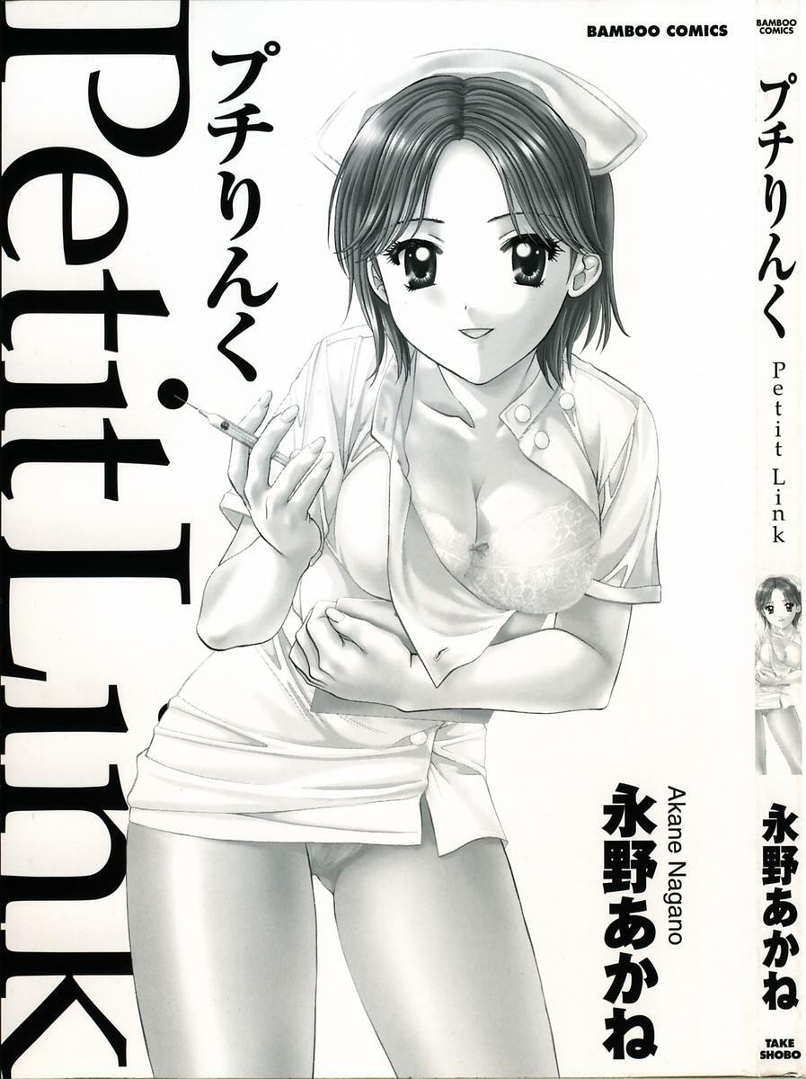 [Nagano Akane] Petit Link page 2 preview
