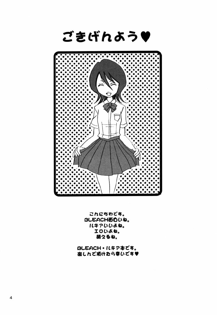 (CR31) [NIKOPONDO (Aoyama Reo)] GRATEFUL DEAD (BLEACH) page 3 preview