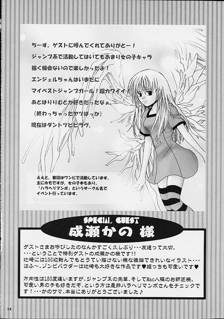 (C60) [Brough-Superior (Tsujisaki Sou)] Tobukusuri (Shaman King, One Piece) page 12 preview