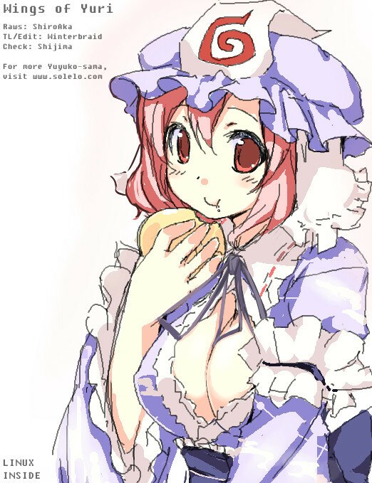 [Asoka] No Title (Touhou Project) (ENG) page 5 preview