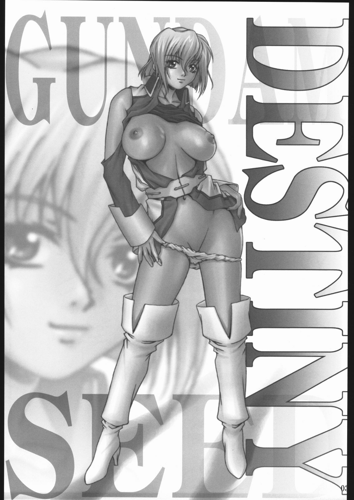 (C67) [Ruki Ruki EXISS (Fumizuki Misoka)] Tane no Hozon ... (Gundam SEED DESTINY) page 2 preview