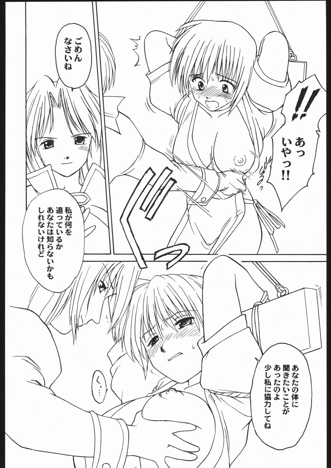 (C68) [Milts Chaya (Milts)] Abnormitaten (Dead or Alive) page 5 preview