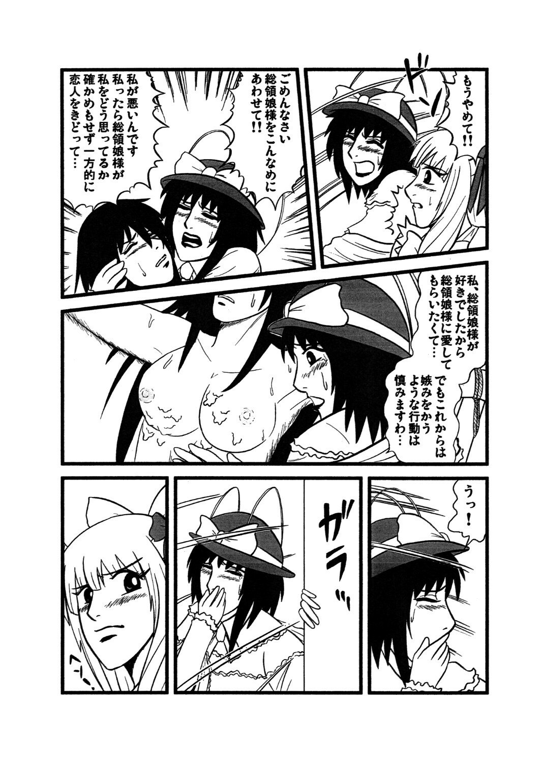 (C76) [Circle Yaranaika (Chuubi Jun)] Mazo no Yorokobi (Touhou Project) page 8 preview