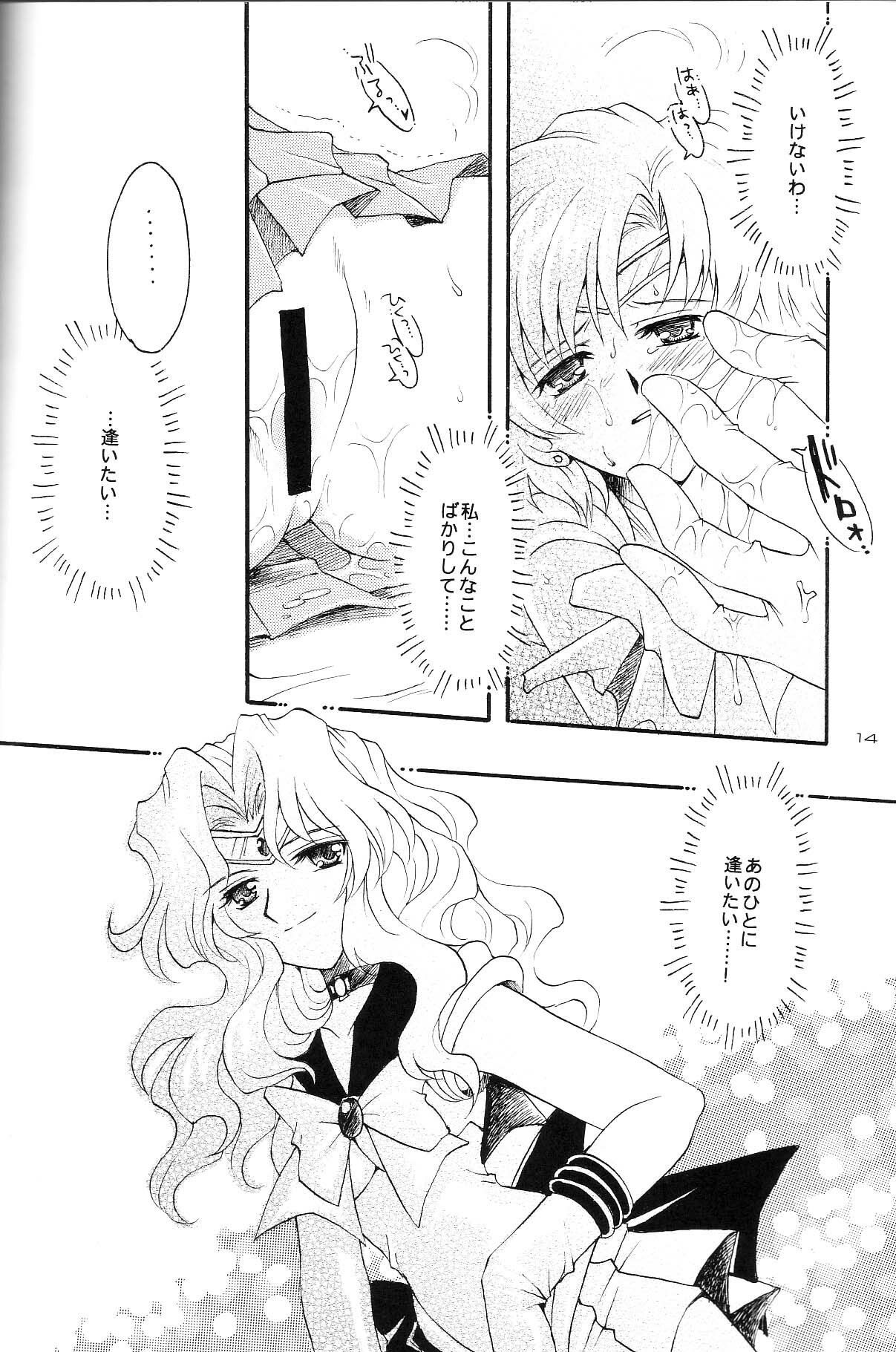 (CR35) [Kotori Jimusho (Sakura Bunchou)] Ave Maris Stella 3 (Bishoujo Senshi Sailor Moon) page 12 preview