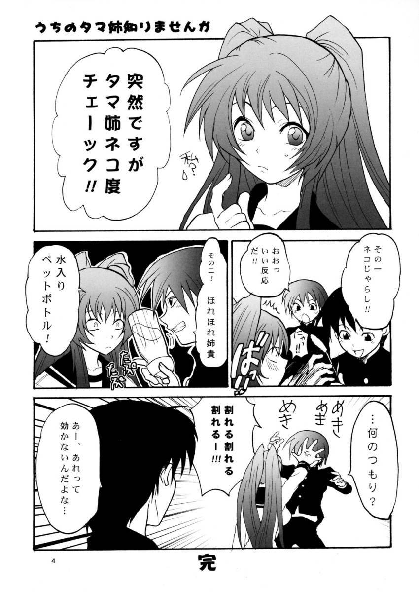 TOO HEAT! 01 (ToHeart 2) page 3 preview