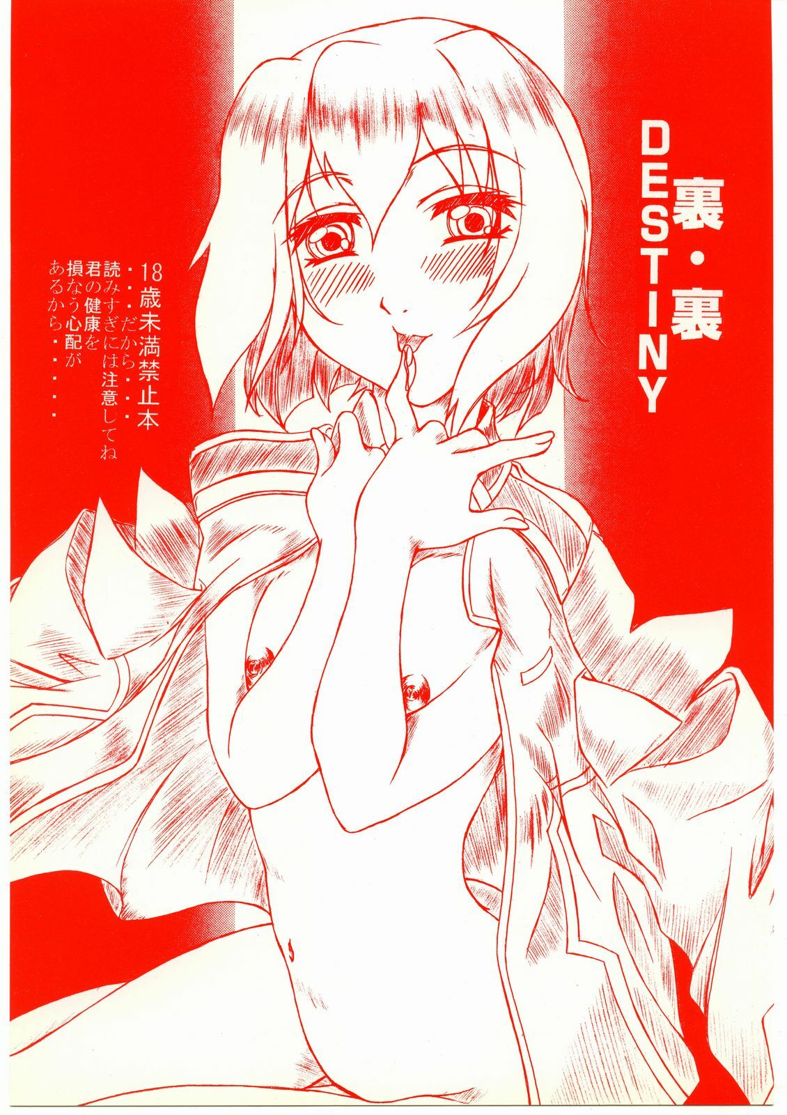 (C67) [Hime Iori (Mikan)] Ura Ura Destiny (Gundam SEED DESTINY)