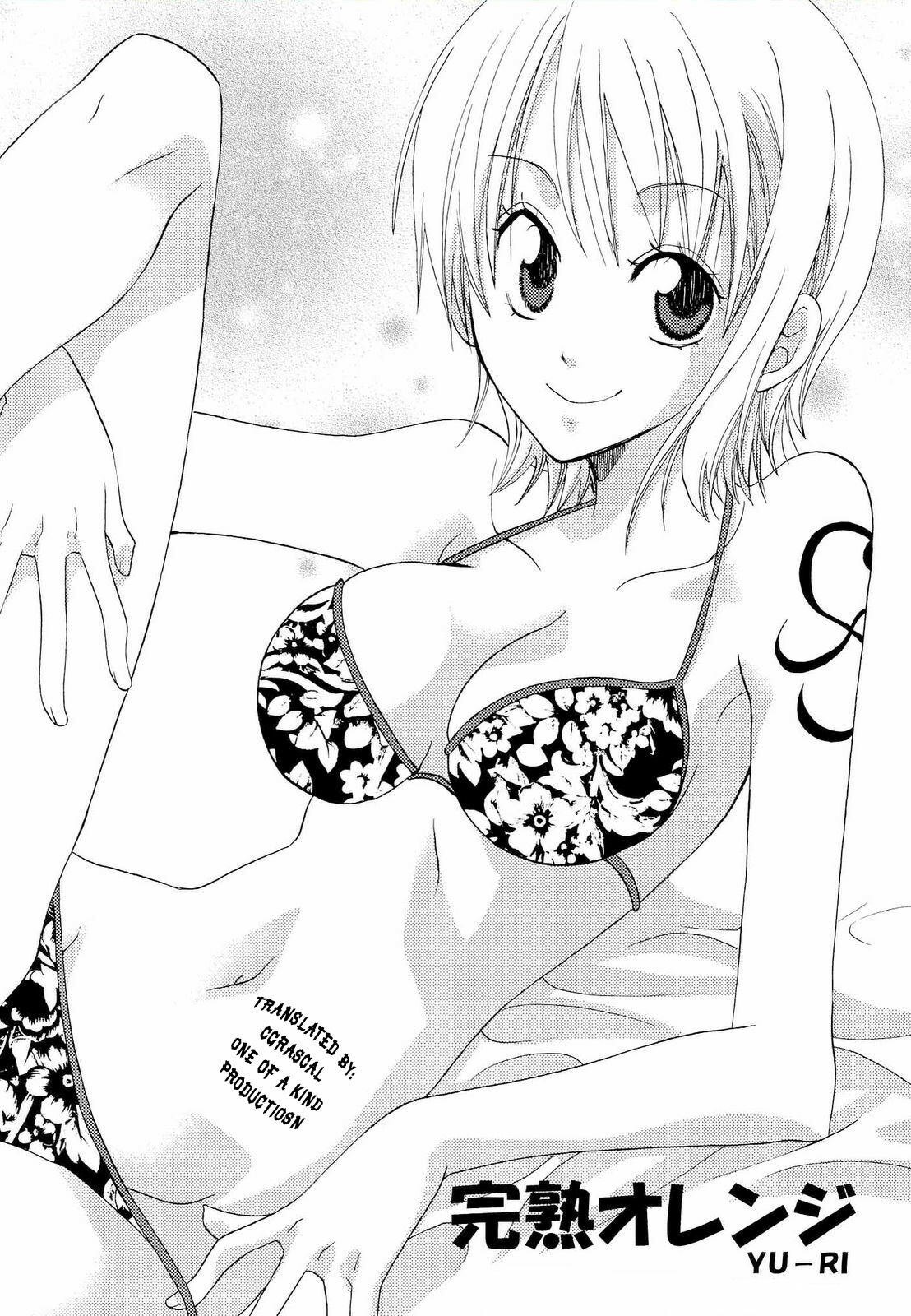 (C68) [Kurione-sha (YU-RI)] Kanjuku Orange (One Piece) [English] [One of a Kind Productions] page 3 preview