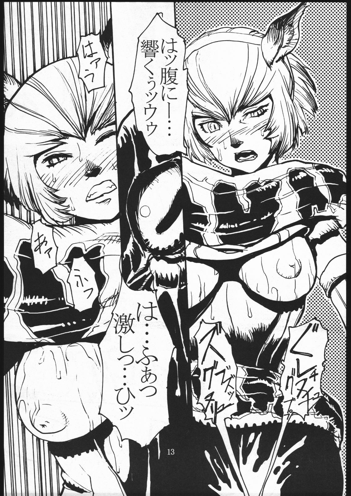 [Kuroshiki (Kurohiko)] Kuroshiki Vol. 1 (Final Fantasy XI) page 12 preview