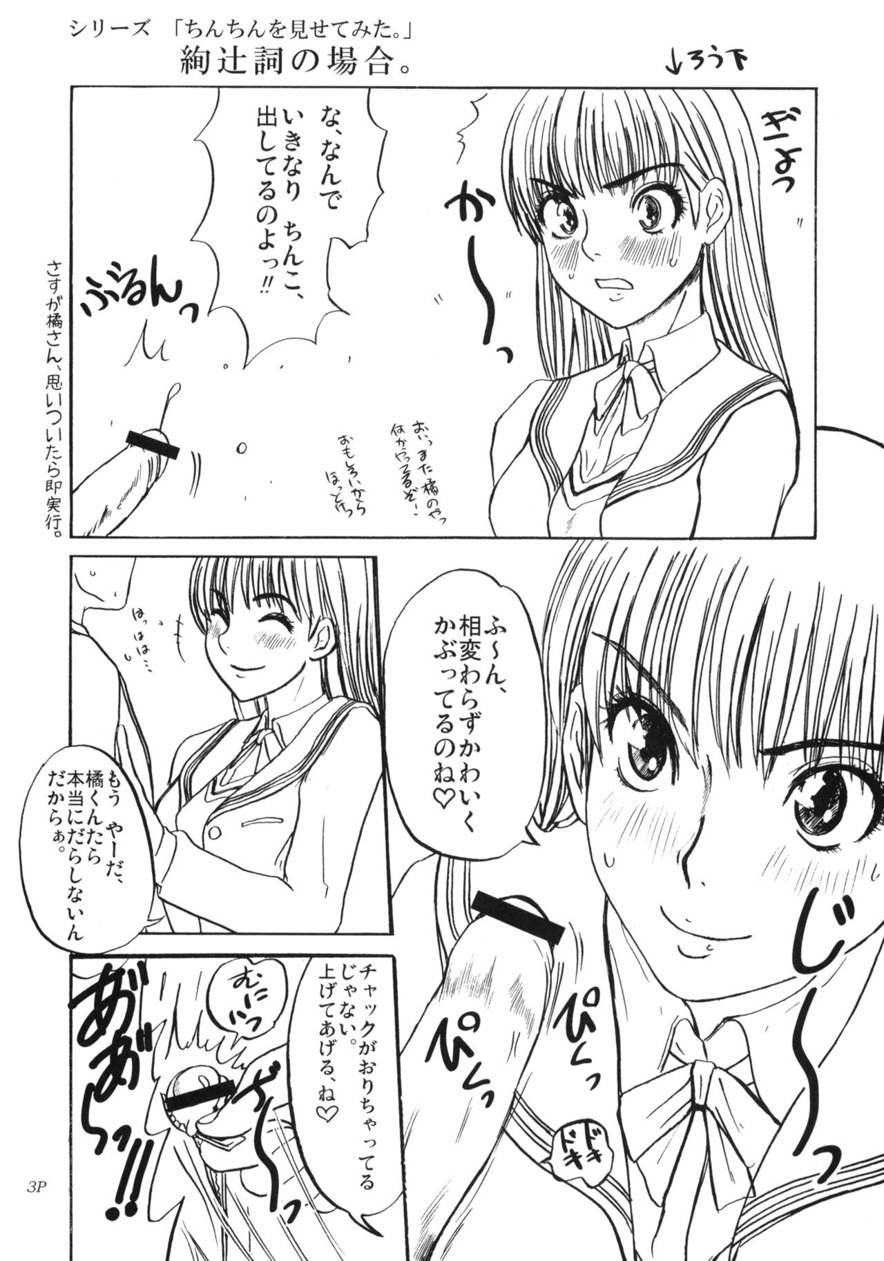 (C76) [Sekai Kakumei Club] Zukai Jyouzuna Mesubuta no Kaikata (Amagami) page 4 preview