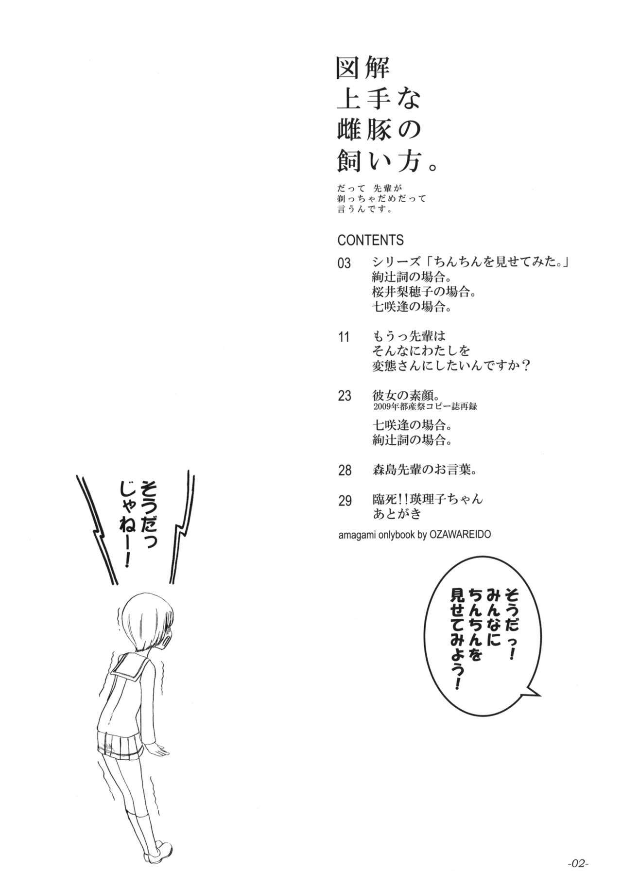 (C76) [Sekai Kakumei Club] Zukai Jyouzuna Mesubuta no Kaikata (Amagami) page 3 preview