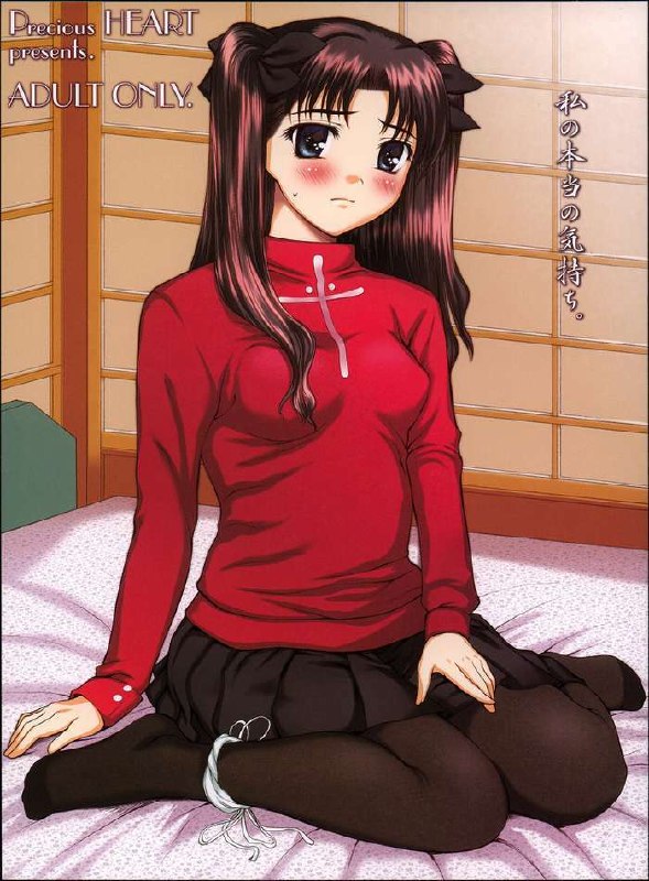 [Precious HEART] Watashi no Hontou no Kimochi (Fate/Stay Night)