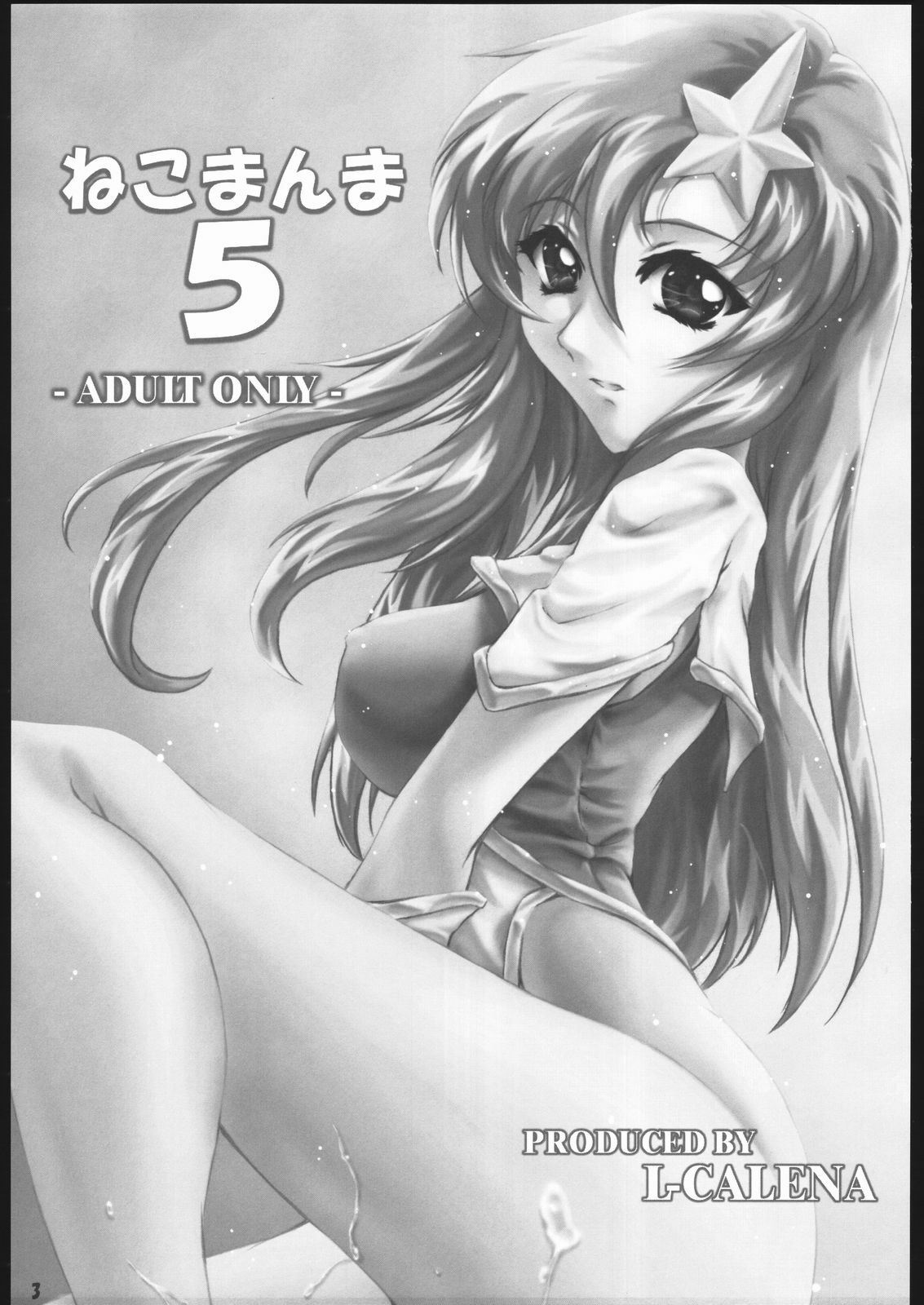 (C69) [L-Calena (Kisaragi)] Nekomanma 5 (Gundam Seed Destiny) page 2 preview