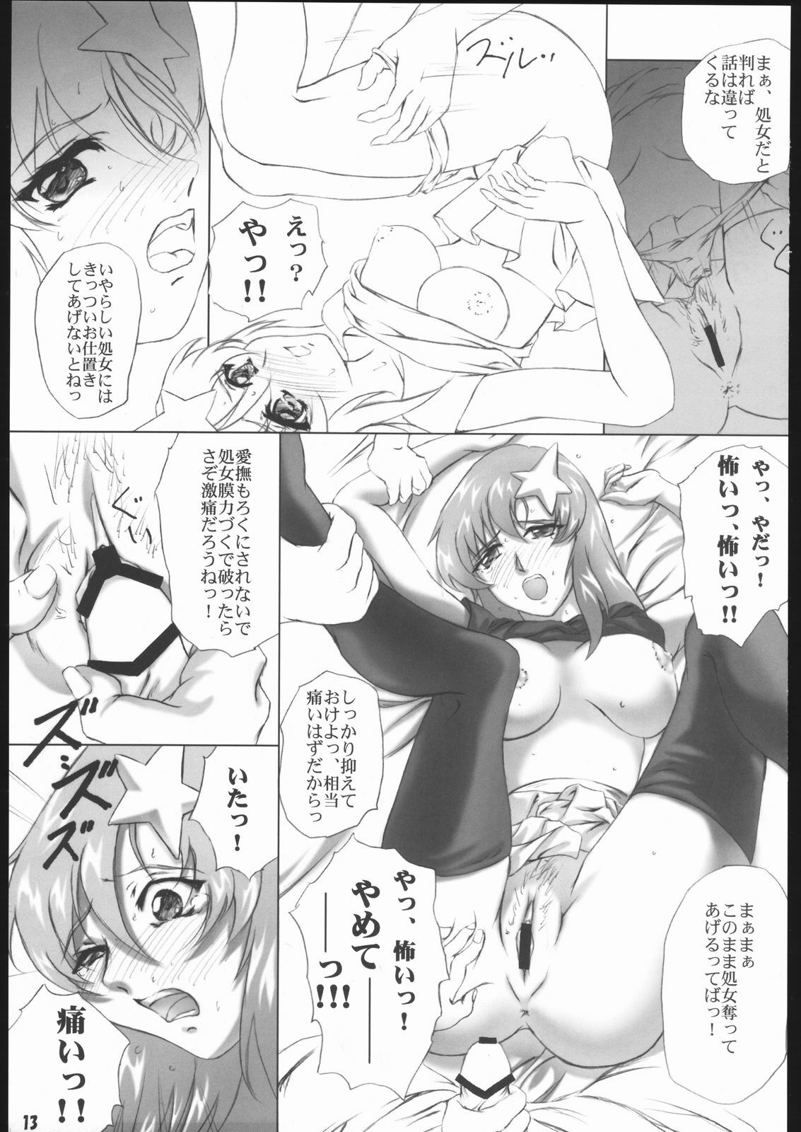 (C69) [L-Calena (Kisaragi)] Nekomanma 5 (Gundam Seed Destiny) page 12 preview