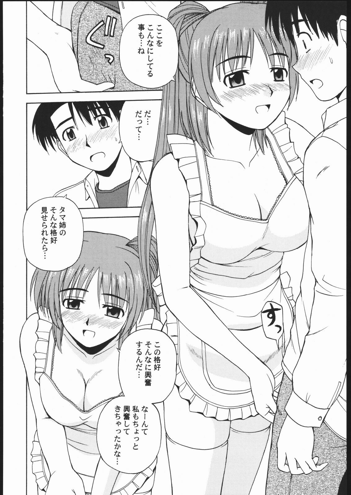 (C69) [G-SCAN CORP. (Satou Chagashi)] Tama-nee to Issho 2 (ToHeart 2) page 11 preview