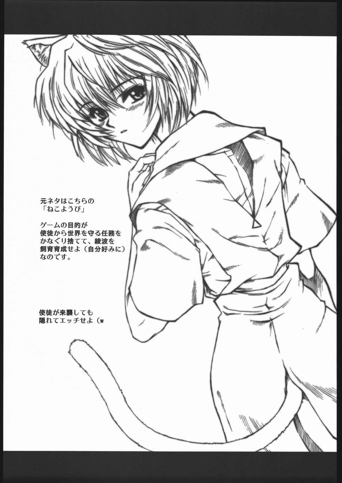 (SC27) [Dennou Denpa Hatsureisho (Harukaze Koucha)] Ayanami Ura Ikusei Keikakusho Daiichiji Houkokusho (Neon Genesis Evangelion) page 5 preview