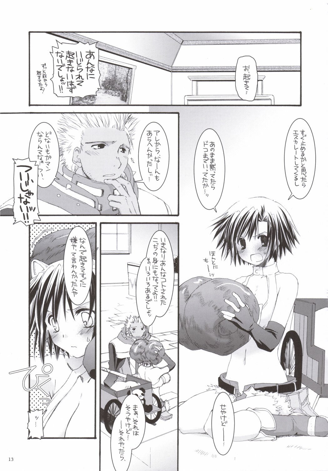 (C69) [Digital Lover (Nakajima Yuka)] D.L. action 33 (Ragnarok Online) page 12 preview