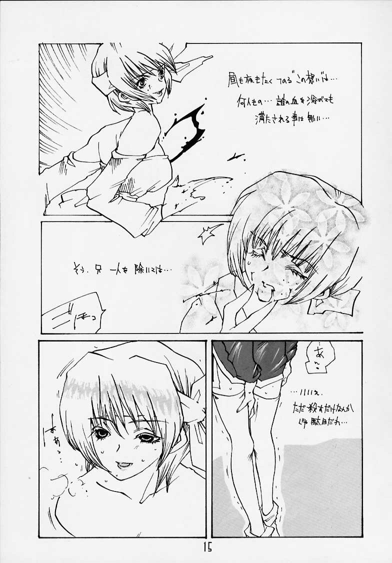 (C58) [Alice Syndrome] DEAD END (Dead or Alive) page 11 preview