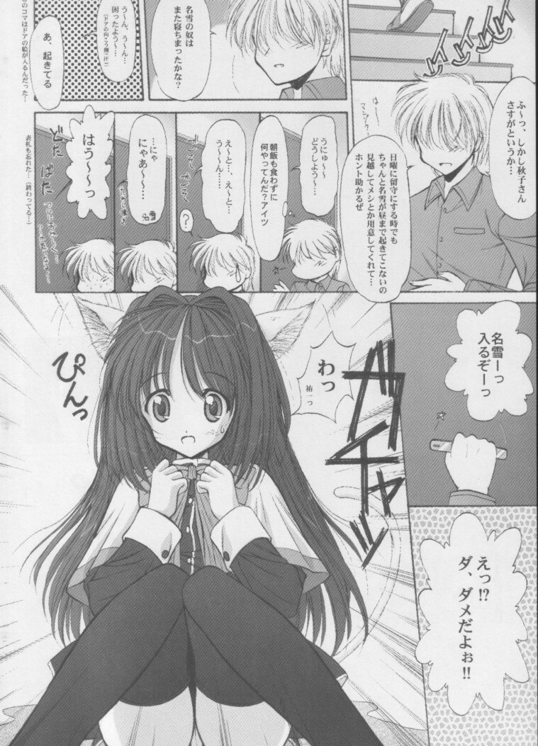 [ASYURAYA (Kushida Ashura)] Neko Neko Hot (Kanon) page 7 preview